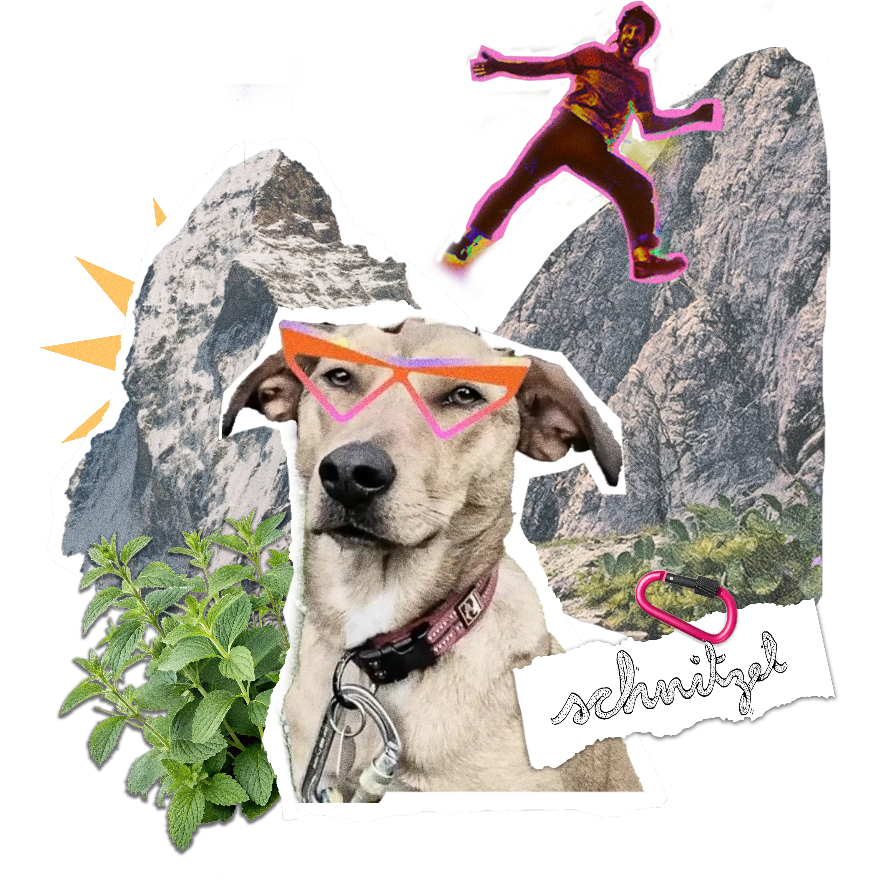 Schnitzel podcast hero collage